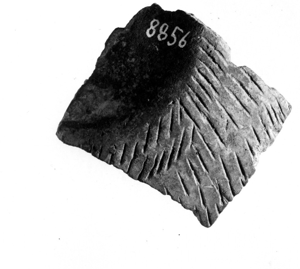 vaso/ frammento - ceramica impressa tipo Molfetta (Neolitico Antico)