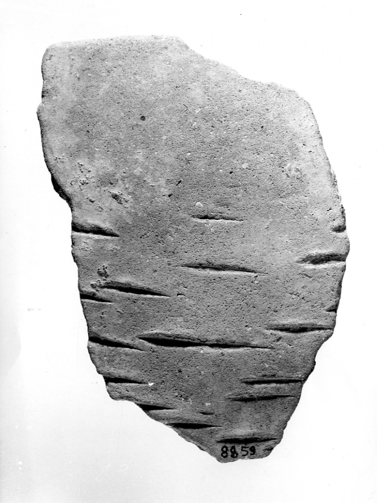 vaso/ frammento - ceramica impressa tipo Molfetta (Neolitico Antico)