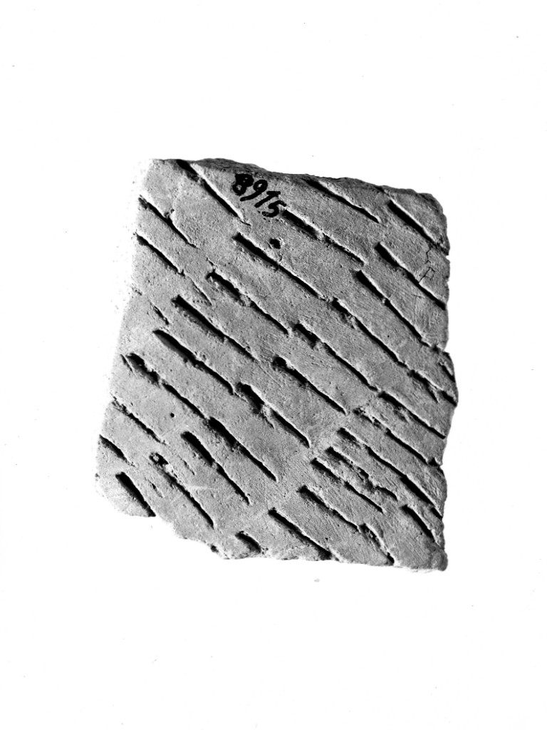 vaso/ frammento - ceramica impressa tipo Molfetta (Neolitico Antico)