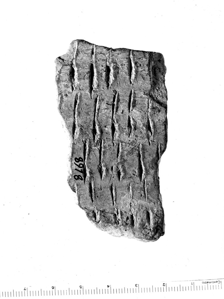 vaso/ frammento - ceramica impressa tipo Molfetta (Neolitico Antico)