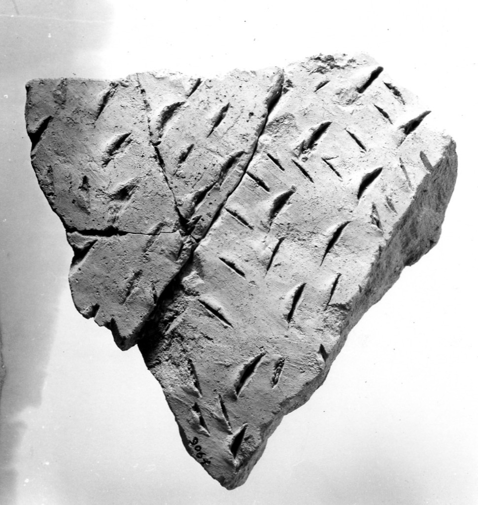 vaso/ frammento - ceramica impressa tipo Molfetta (Neolitico Antico)