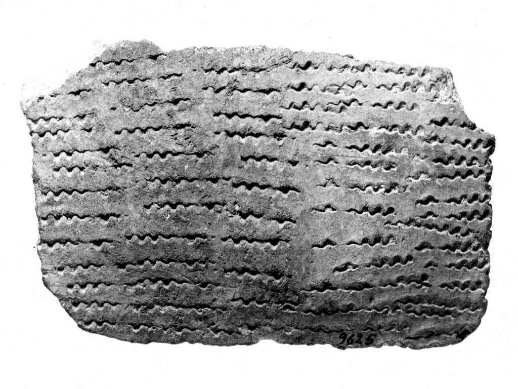 vaso/ frammento - ceramica impressa tipo Molfetta (Neolitico Antico)