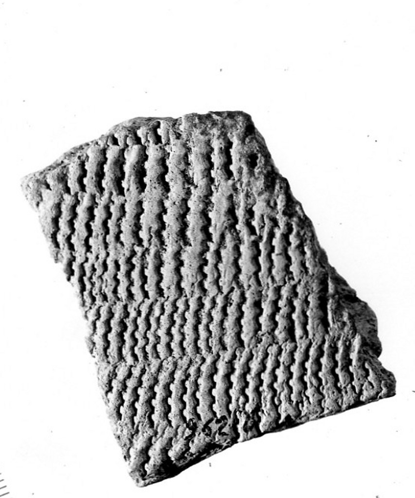 vaso/ frammento - ceramica impressa tipo Molfetta (Neolitico Antico)