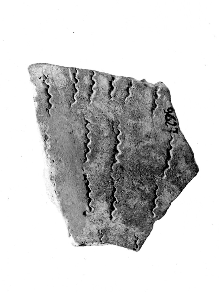 vaso/ frammento - ceramica impressa tipo Molfetta (Neolitico Antico)