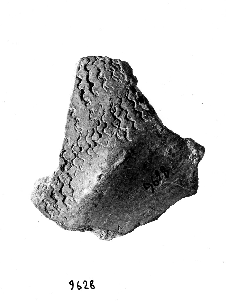 vaso/ frammento - ceramica impressa tipo Molfetta (Neolitico Antico)