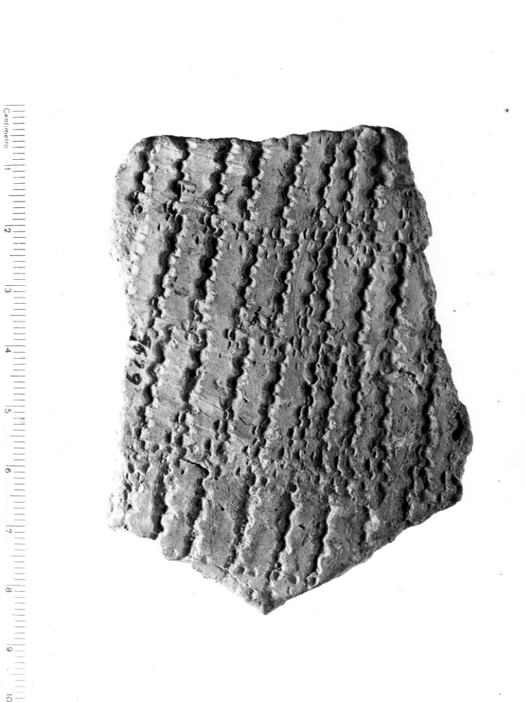 vaso/ frammento - ceramica impressa tipo Molfetta (Neolitico Antico)