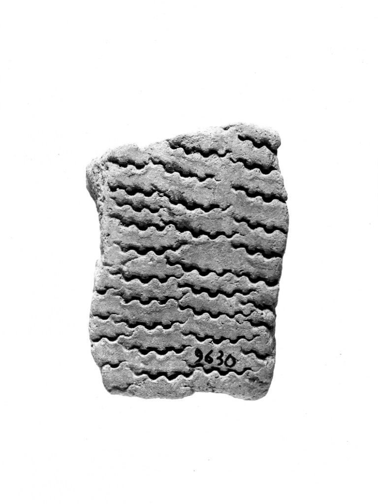 vaso/ frammento - ceramica impressa tipo Molfetta (Neolitico Antico)