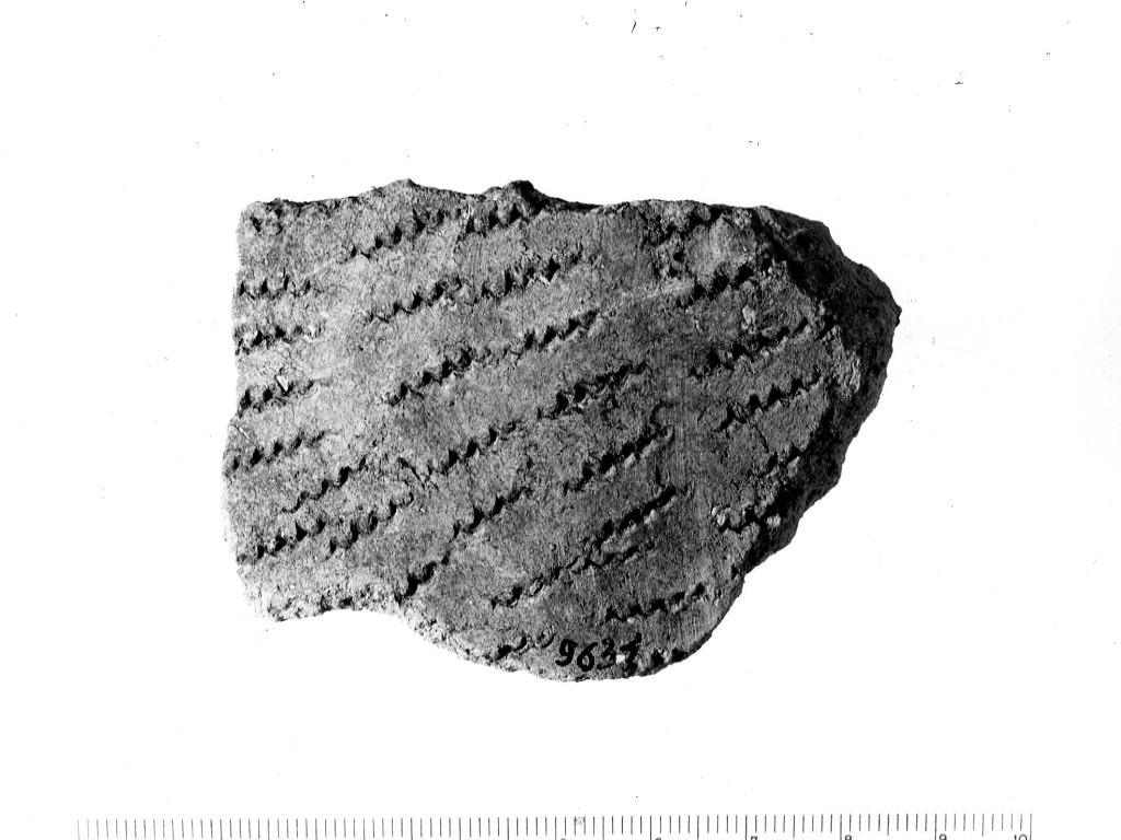 vaso/ frammento - ceramica impressa tipo Molfetta (Neolitico Antico)