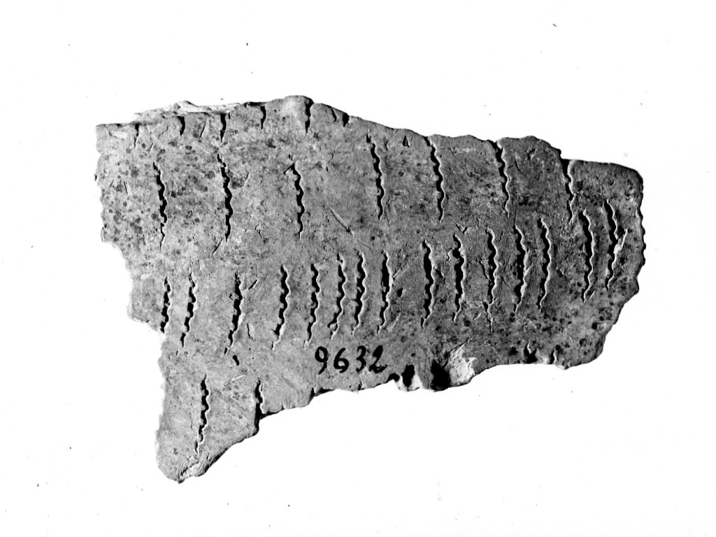 vaso/ frammento - ceramica impressa tipo Molfetta (Neolitico Antico)