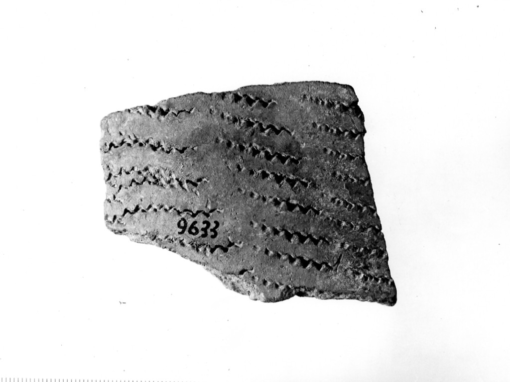 vaso/ frammento - ceramica impressa tipo Molfetta (Neolitico Antico)