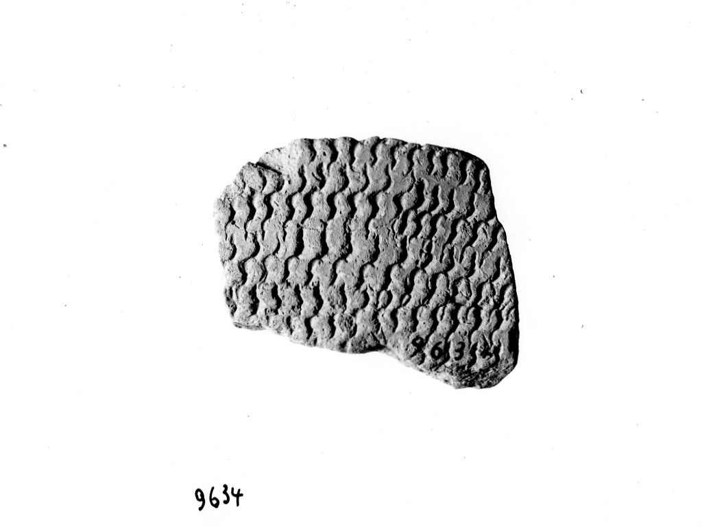 vaso/ frammento - ceramica impressa tipo Molfetta (Neolitico Antico)