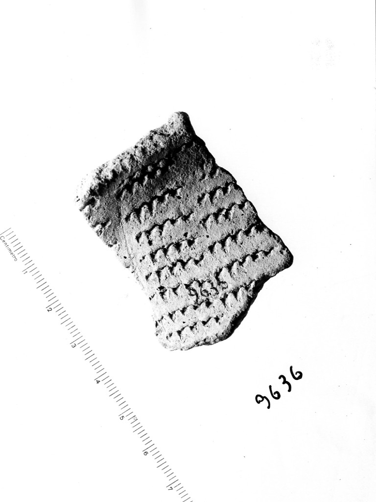 vaso/ frammento - ceramica impressa tipo Molfetta (Neolitico Antico)