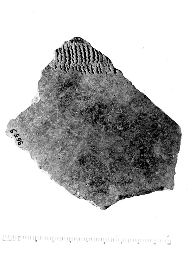 vaso/ frammento - ceramica impressa tipo Molfetta (Neolitico Antico)