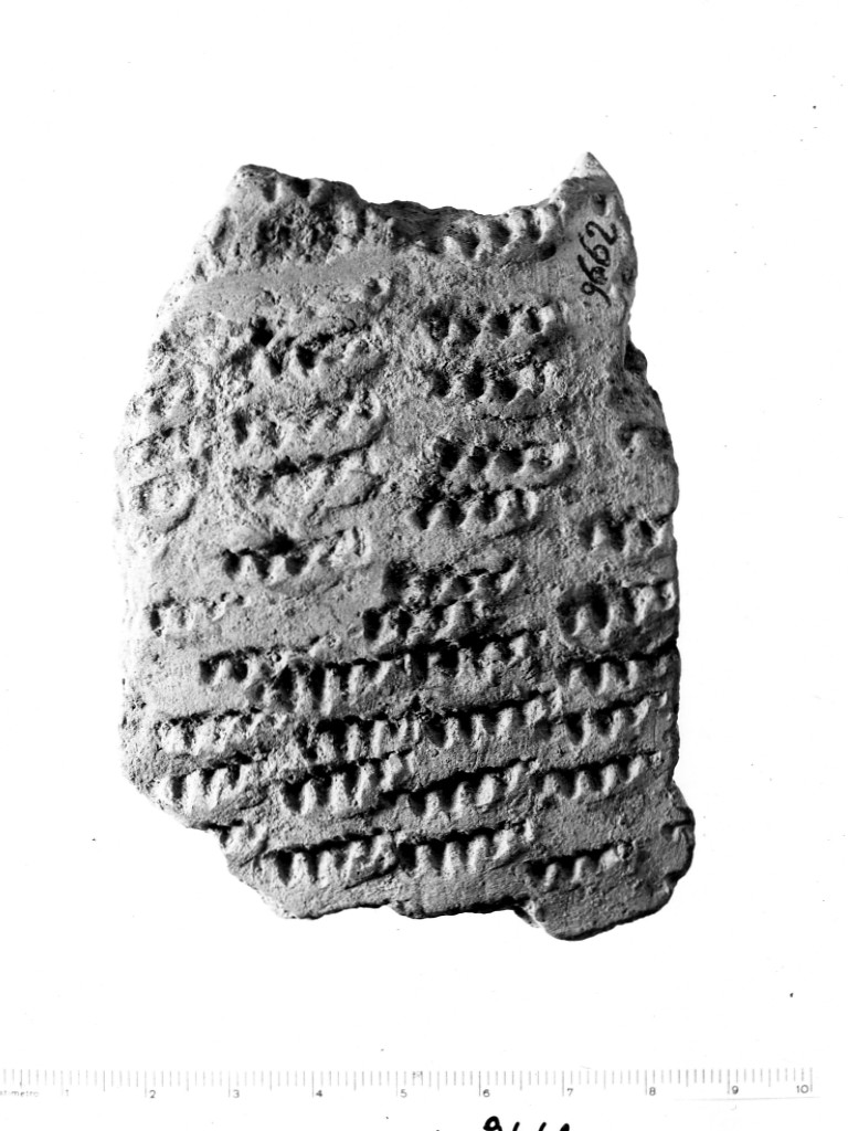 vaso/ frammento - ceramica impressa tipo Molfetta (Neolitico Antico)