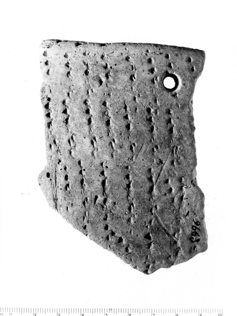 recipiente/ frammento - ceramica impressa tipo Molfetta (Neolitico Antico)