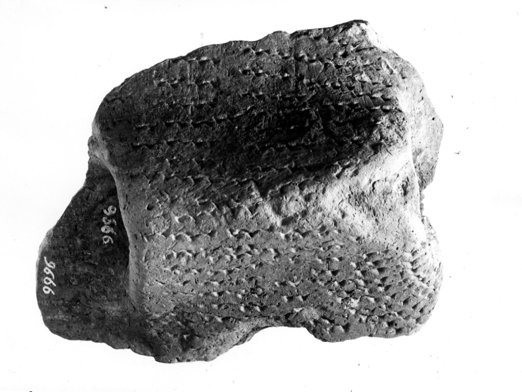 ansa/ frammento - ceramica impressa tipo Molfetta (Neolitico Antico)