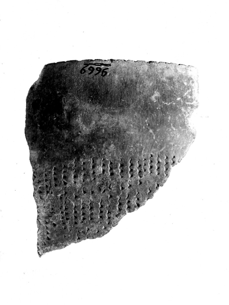 recipiente/ frammento - ceramica impressa tipo Molfetta (Neolitico Antico)