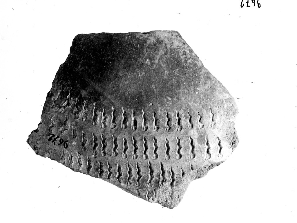 vaso/ frammento - ceramica impressa tipo Molfetta (Neolitico Antico)