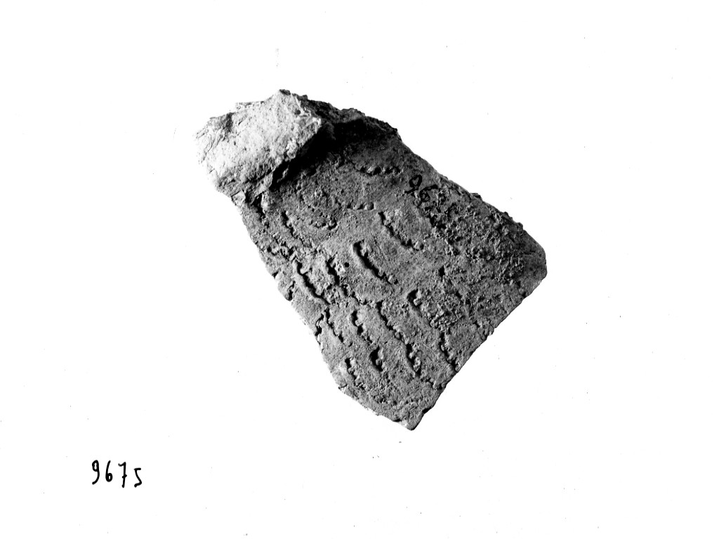 recipiente/ frammento - ceramica impressa tipo Molfetta (Neolitico Antico)