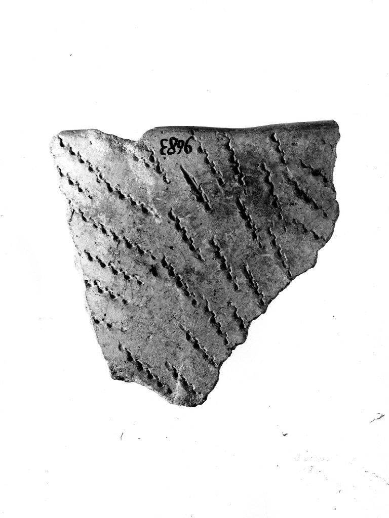 recipiente/ frammento - ceramica impressa tipo Molfetta (Neolitico Antico)