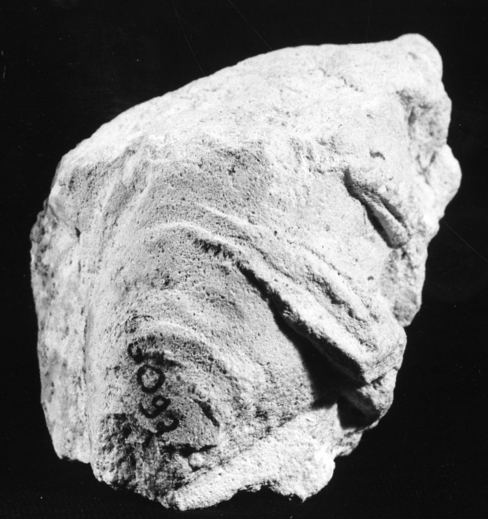 rilievo - fabbrica tarantina (fine sec. IV a.C)