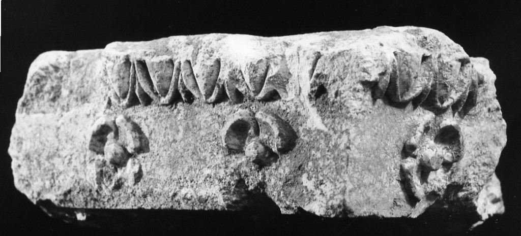 abaco - fabbrica tarantina (fine/ inizio secc. IV a.C.-III a.C)