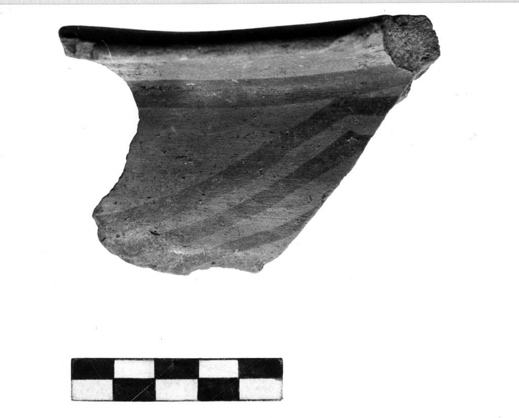 olla/ frammento - Cultura Iapygia Protogeometrica (Età del bronzo finale)