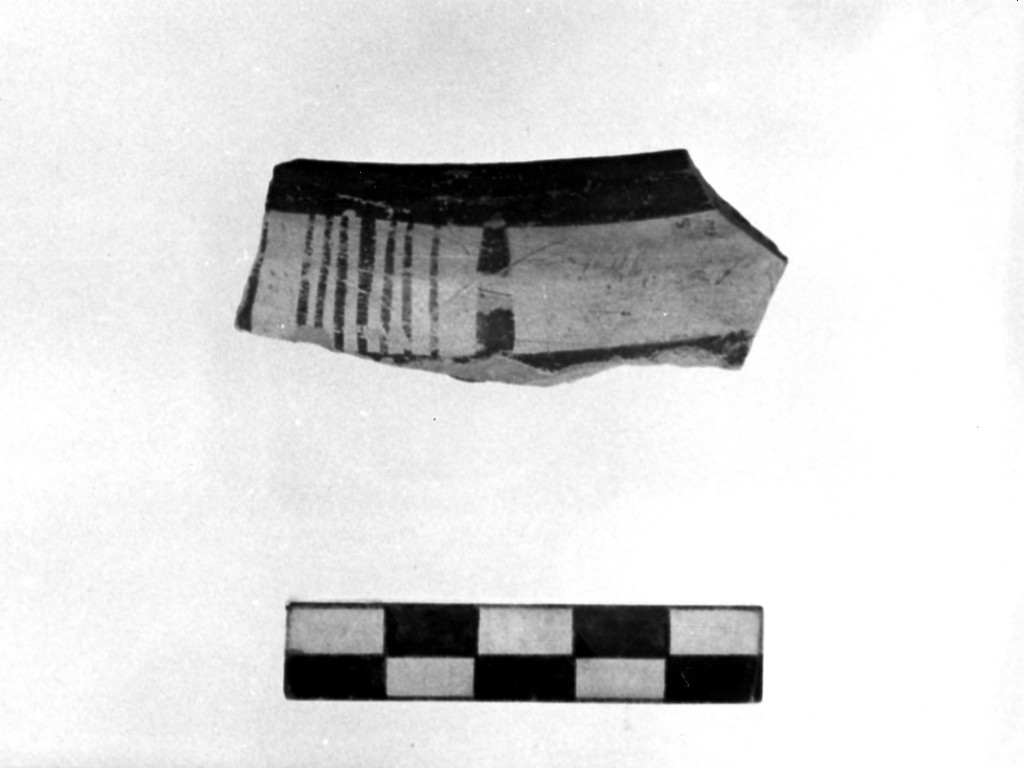 scodella/ frammento - Cultura Protodaunia (Prima età del ferro)
