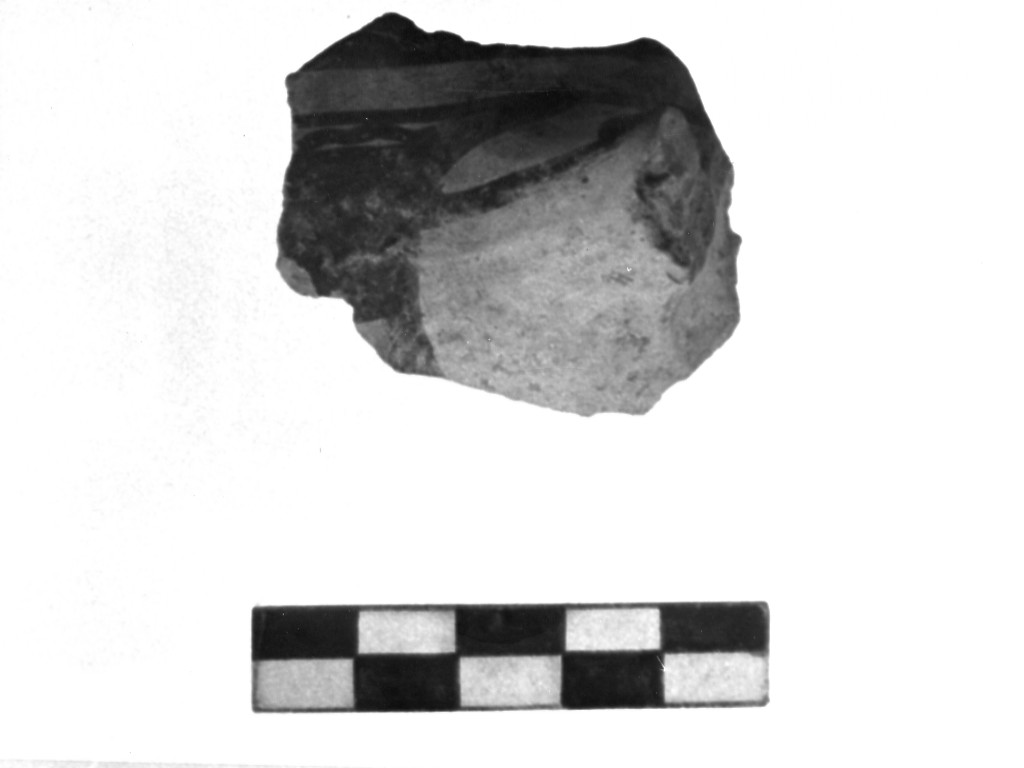 vaso/ frammento - Cultura Protodaunia (Prima età del ferro)