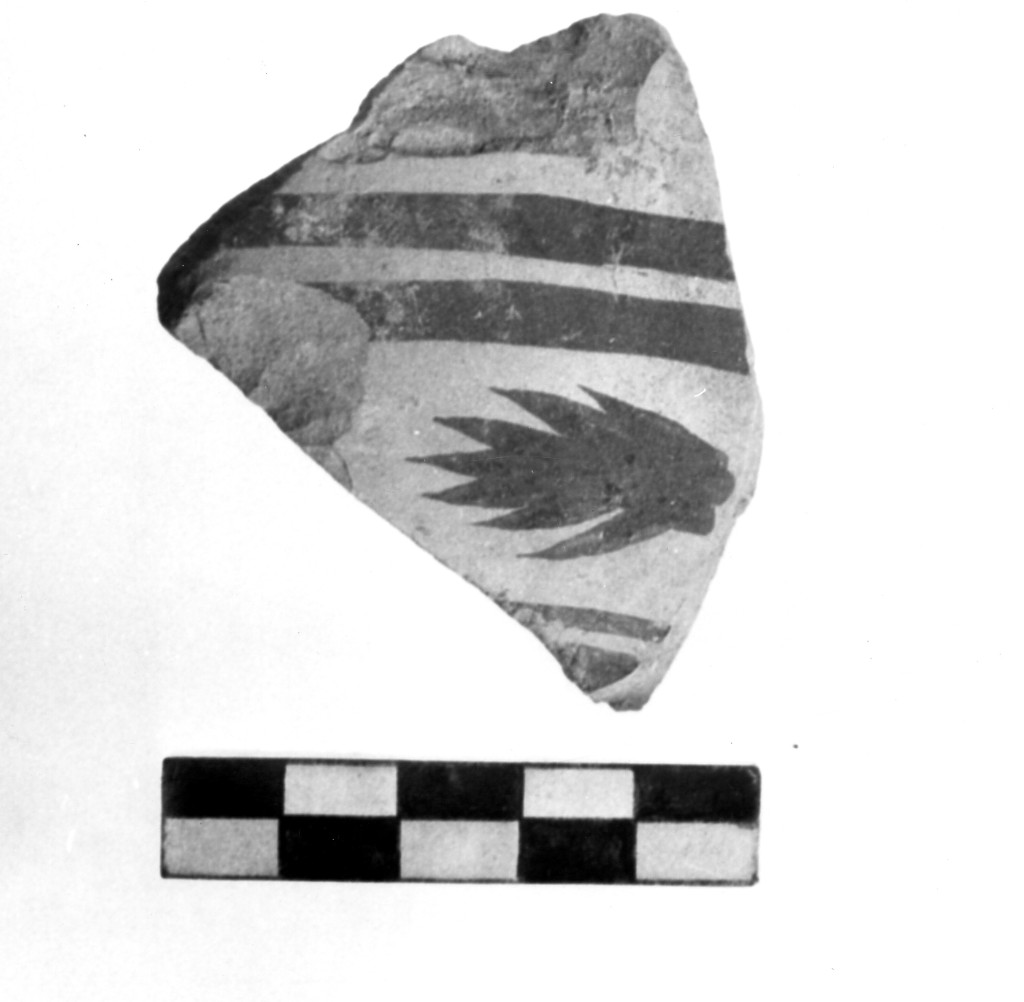 olla/ frammento - Cultura Daunia, fase terza (sec. IV a.C)