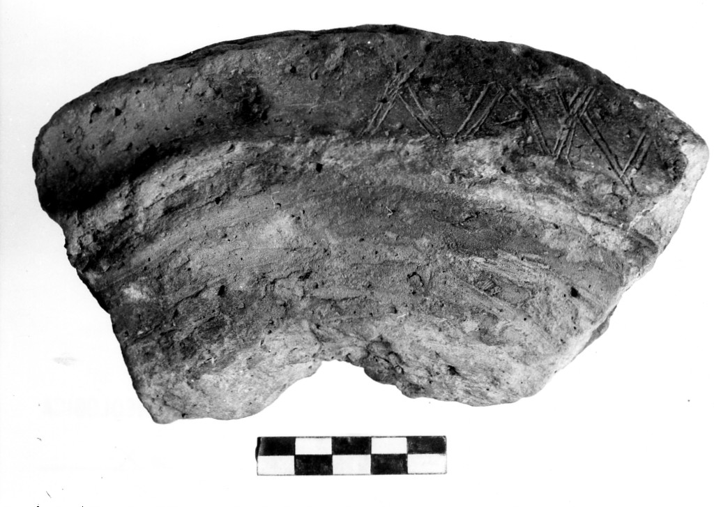 vaso/ frammento - Cultura di Masseria La Quercia (Neolitico inferiore)