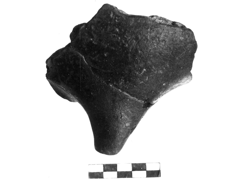 vaso/ frammento - Cultura di Passo di Corvo (Neolitico medio)