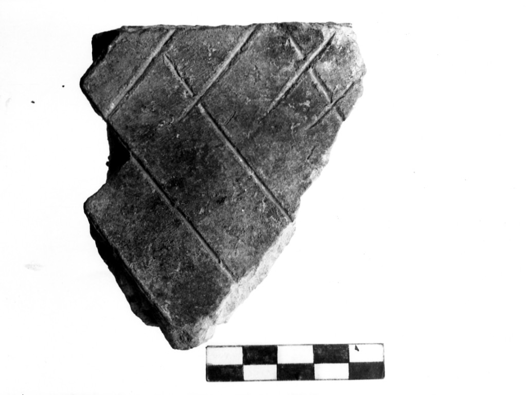 vaso/ frammento - Cultura di Masseria La Quercia (Neolitico inferiore)