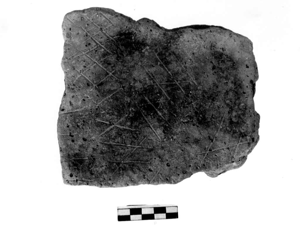 vaso/ frammento - Cultura di Masseria La Quercia (Neolitico inferiore)