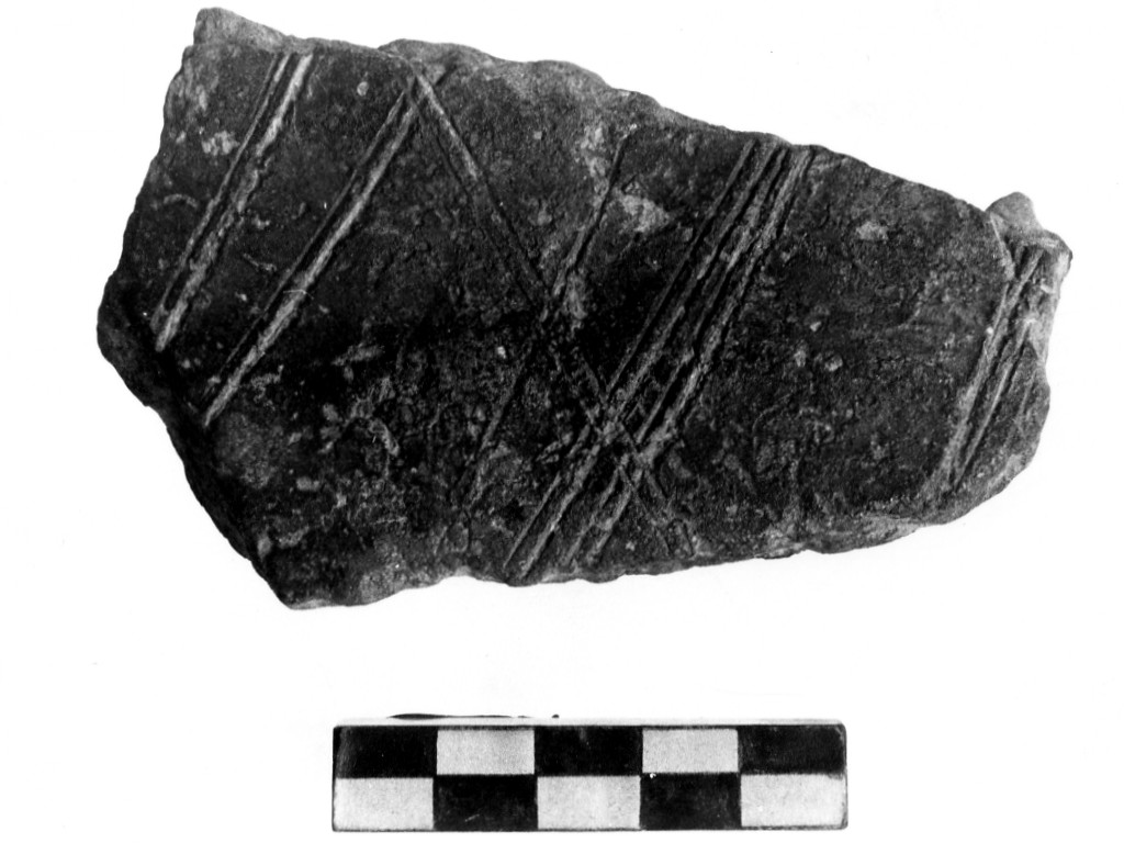 vaso/ frammento - Cultura di Masseria La Quercia (Neolitico inferiore)