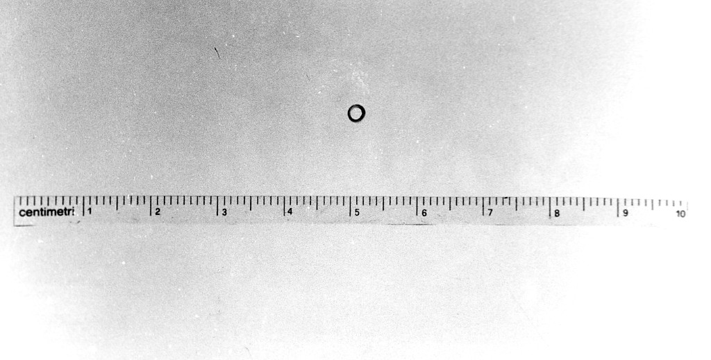 anello - Stile della Scaloria Bassa (Neolitico medio)