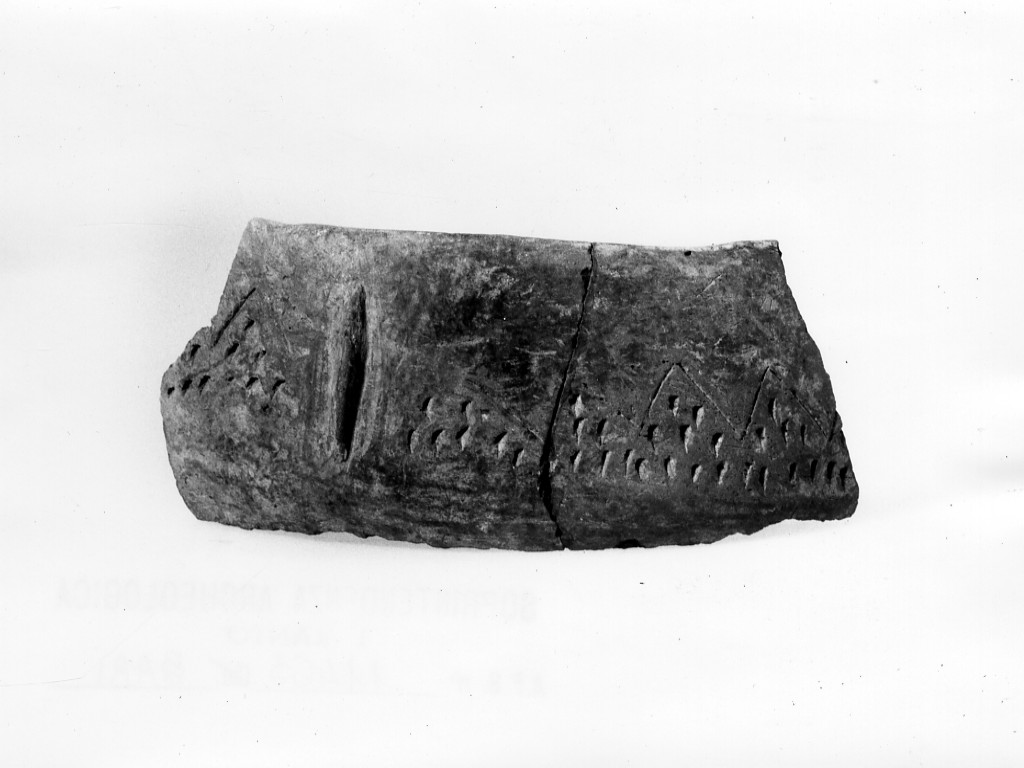 recipiente/ frammento - Protoappenninico (Eneolitico-età del Bronzo)