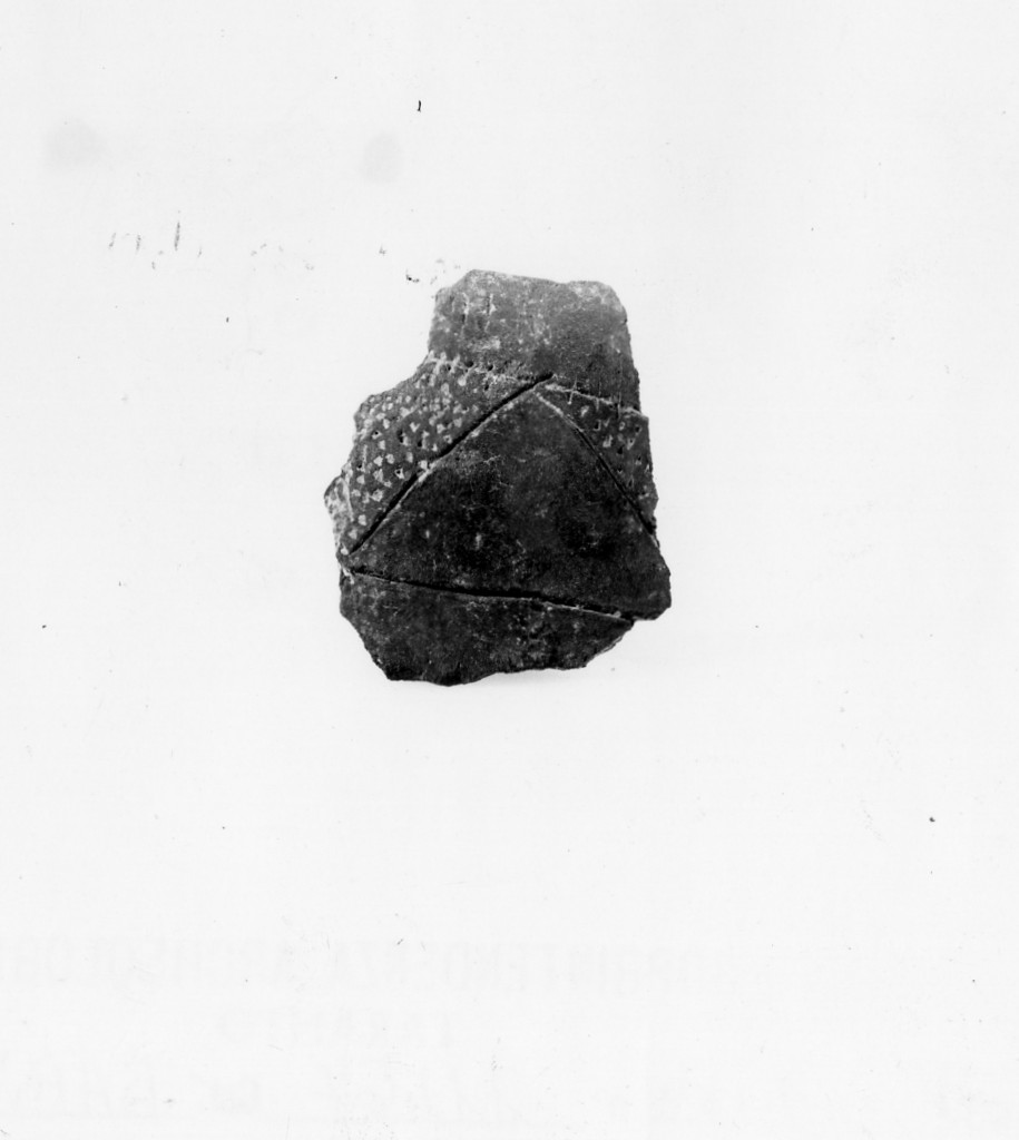 recipiente/ frammento - Protoappenninico (Eneolitico-età del Bronzo)