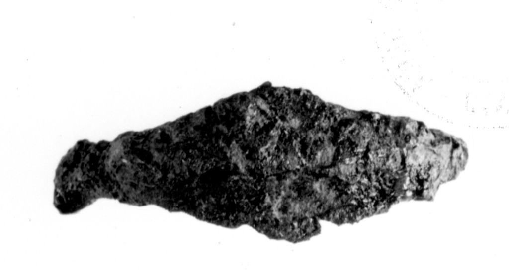 fibula - fabbrica locale (prima metà sec. V a.C)