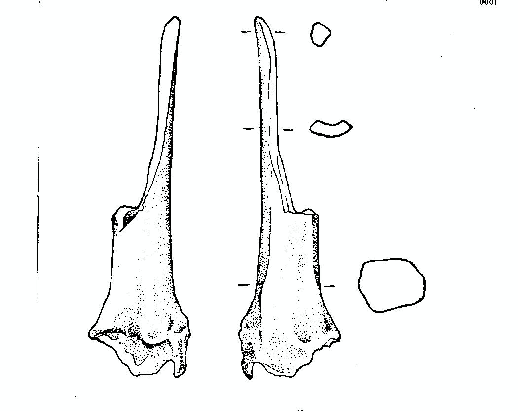 cratere - produzione attica (sec. V a.C)