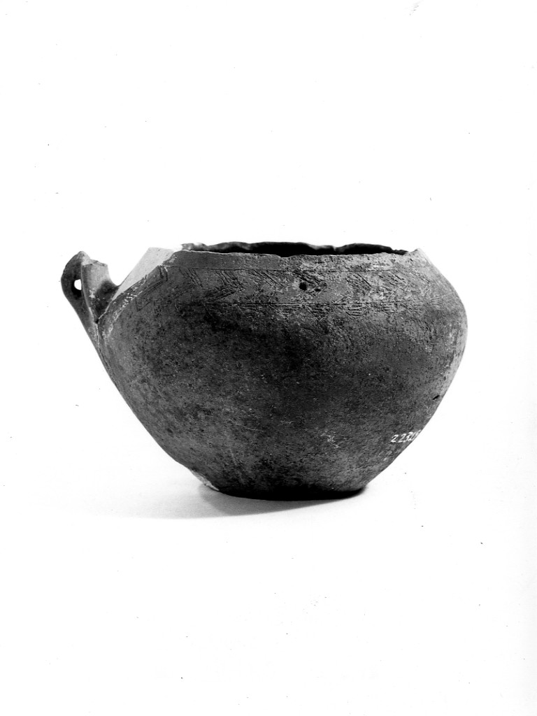 tazza biconica - Protoappenninico (Eneolotico-età del Bronzo)
