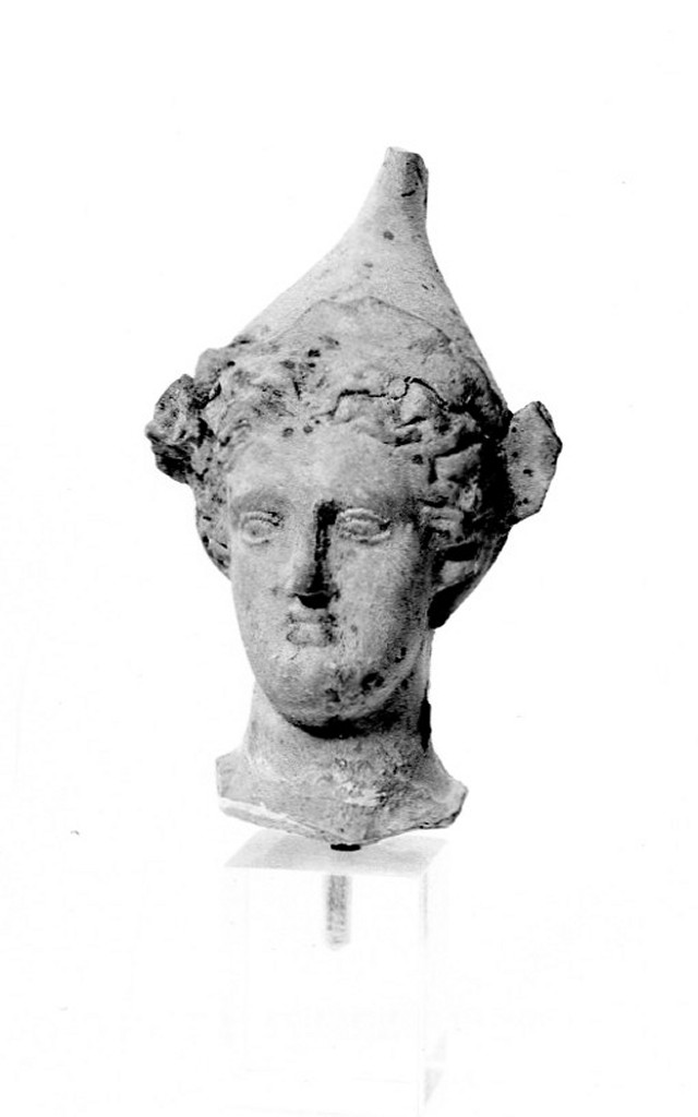 testa maschile - fabbrica italiota (sec. IV a.C)