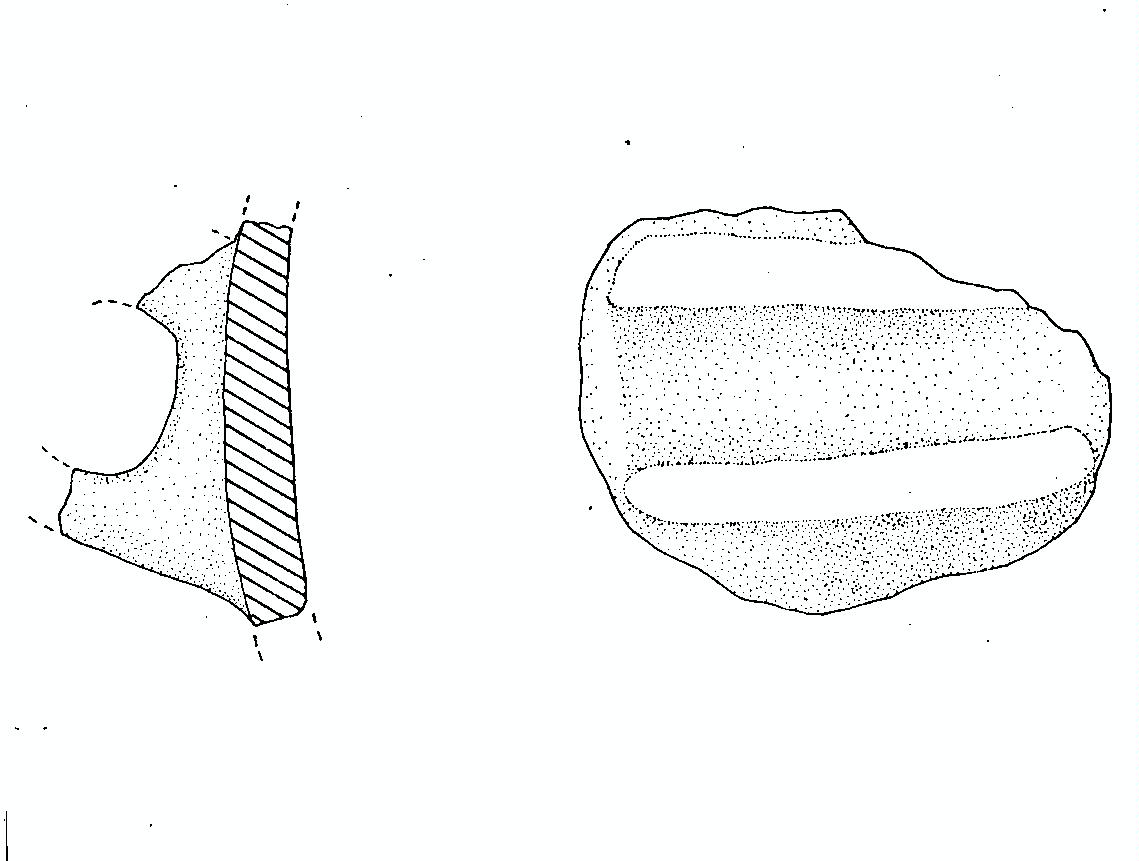 parete e ansa a nastro - protovillanoviano (secc. XII/ IX a.C)