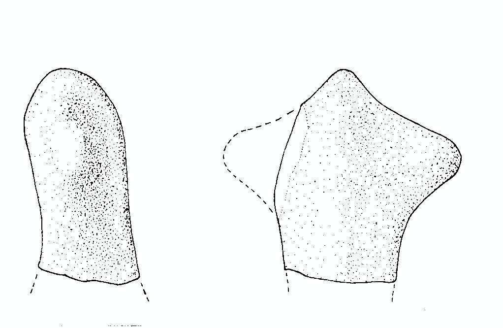 ansa a capocchia bilaterale - protovillanoviano (sec. XII/ IX a.C)