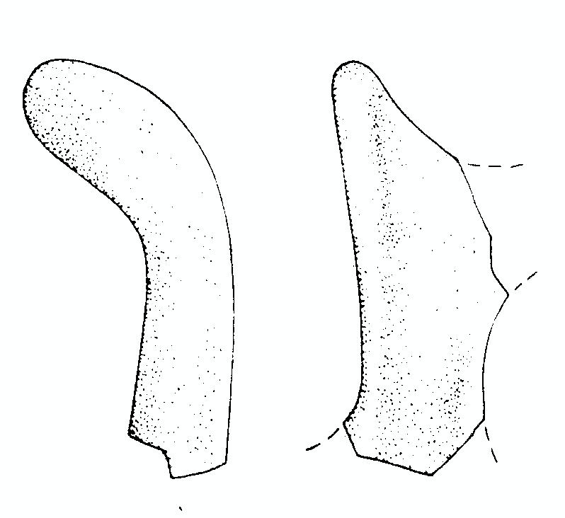 vaso/ ansa - appenninico (BM)