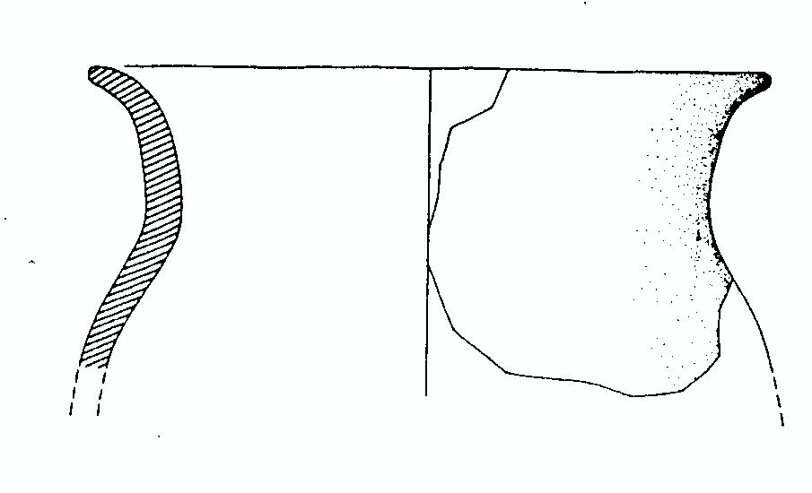 olla - appenninico (BM)