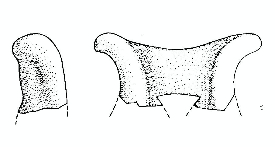 vaso/ ansa - appenninico (BM)