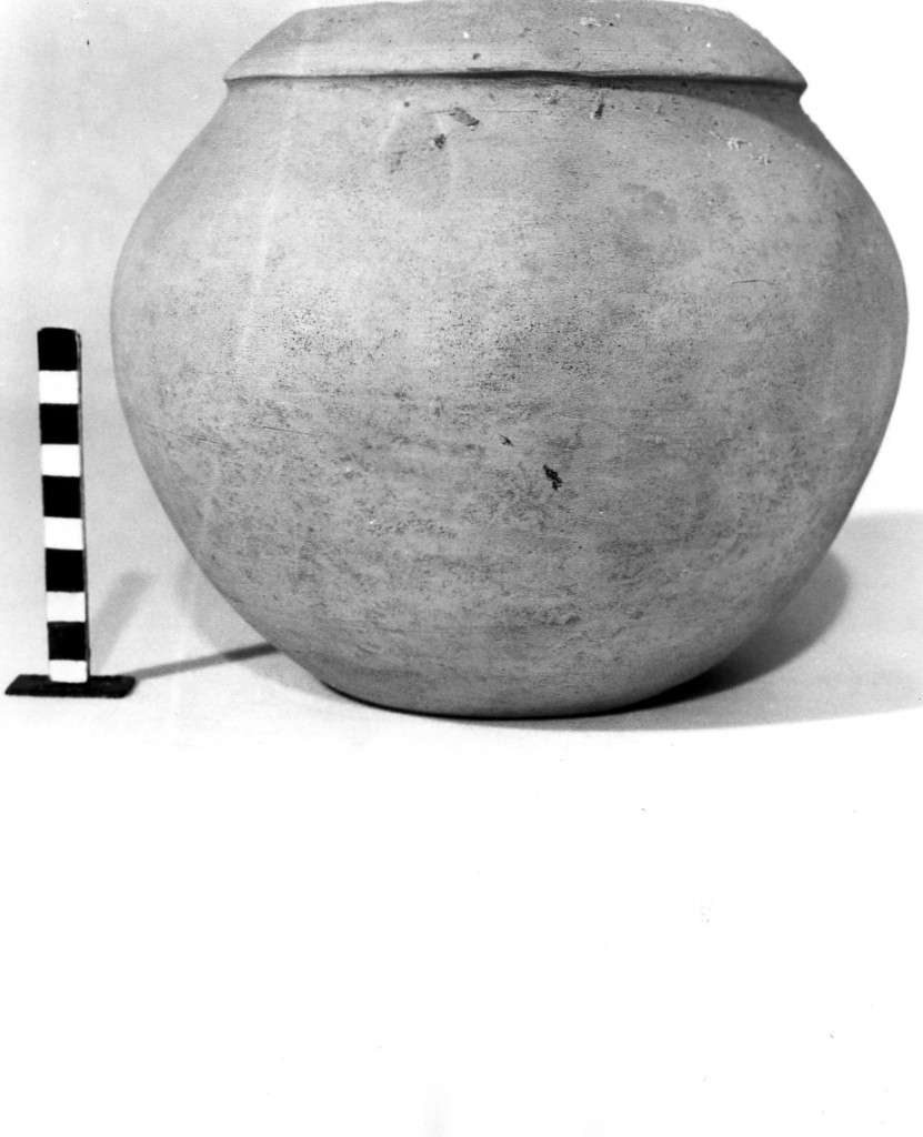 olla - produzione daunia (sec. IV a.C)