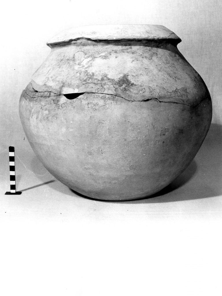 olla - fabbrica daunia (metà sec. IV a.C)