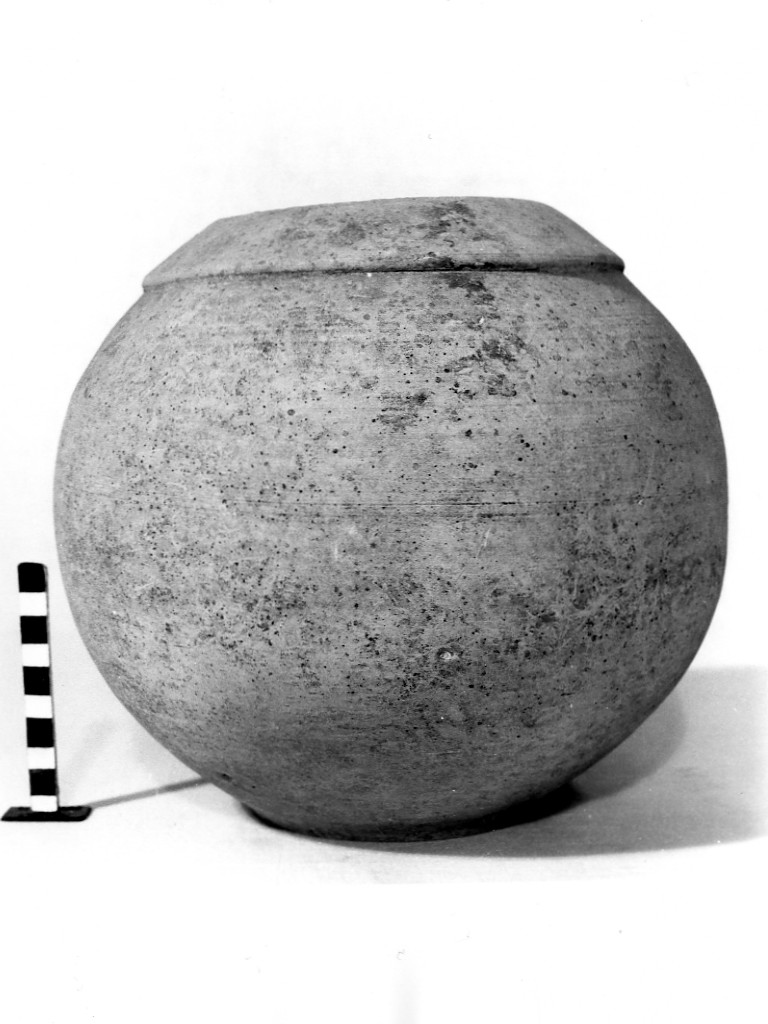 olla - fabbrica daunia (ultimo quarto sec. IV a.C)